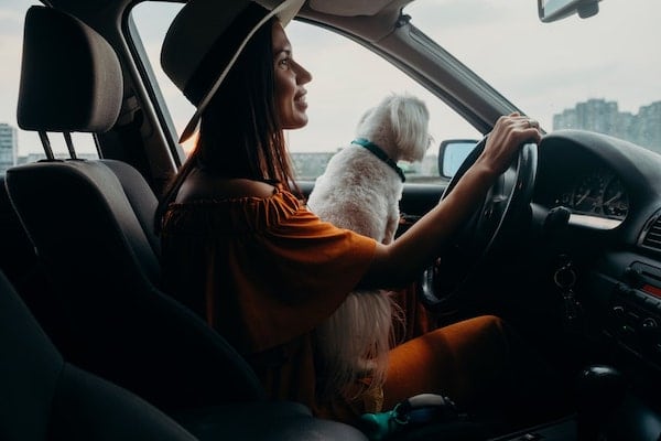 Side view portrait of a woman wearing a hat and orange dress driving a car with a dog in her lap.